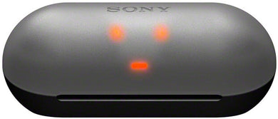 WF-C500 Truly Wireless In-Ear Bluetooth Earbuds Black